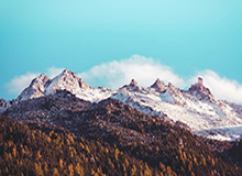 世界杯官方入口下载-绿军黄蜂商讨海沃德先签后换 夏洛特横竖都是亏？